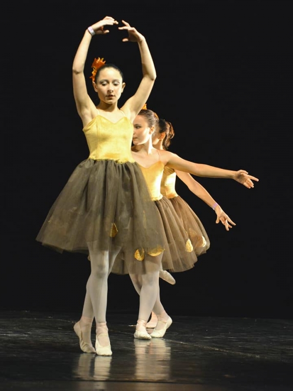 Onde Fazer Aula de Ballet Infantil Iniciante Jardim Paulistano - Ballet Infantil Masculino